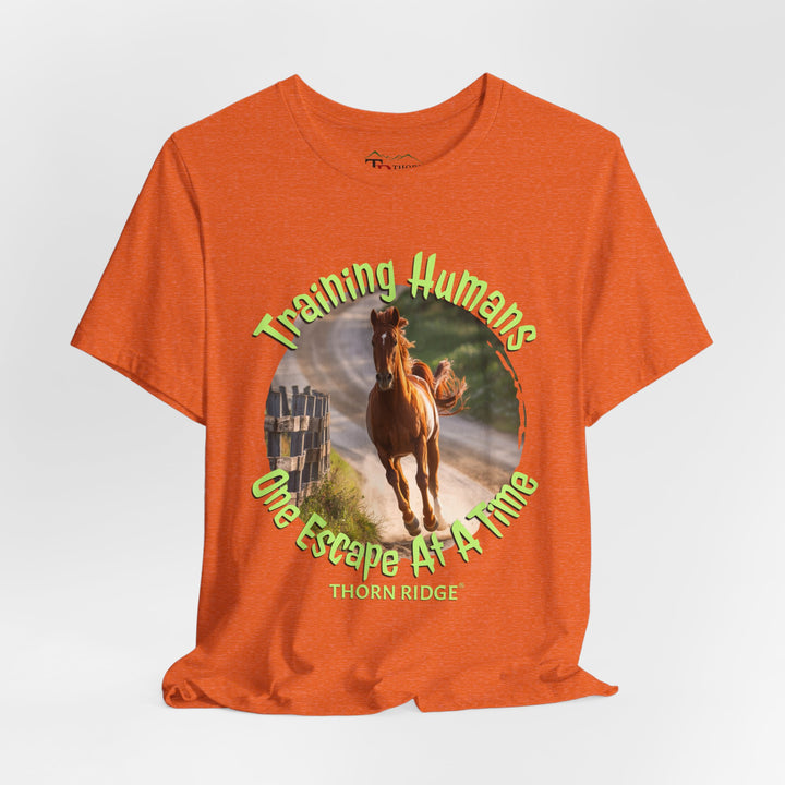 Training Humans Horse graphic tee by Thorn Ridge®