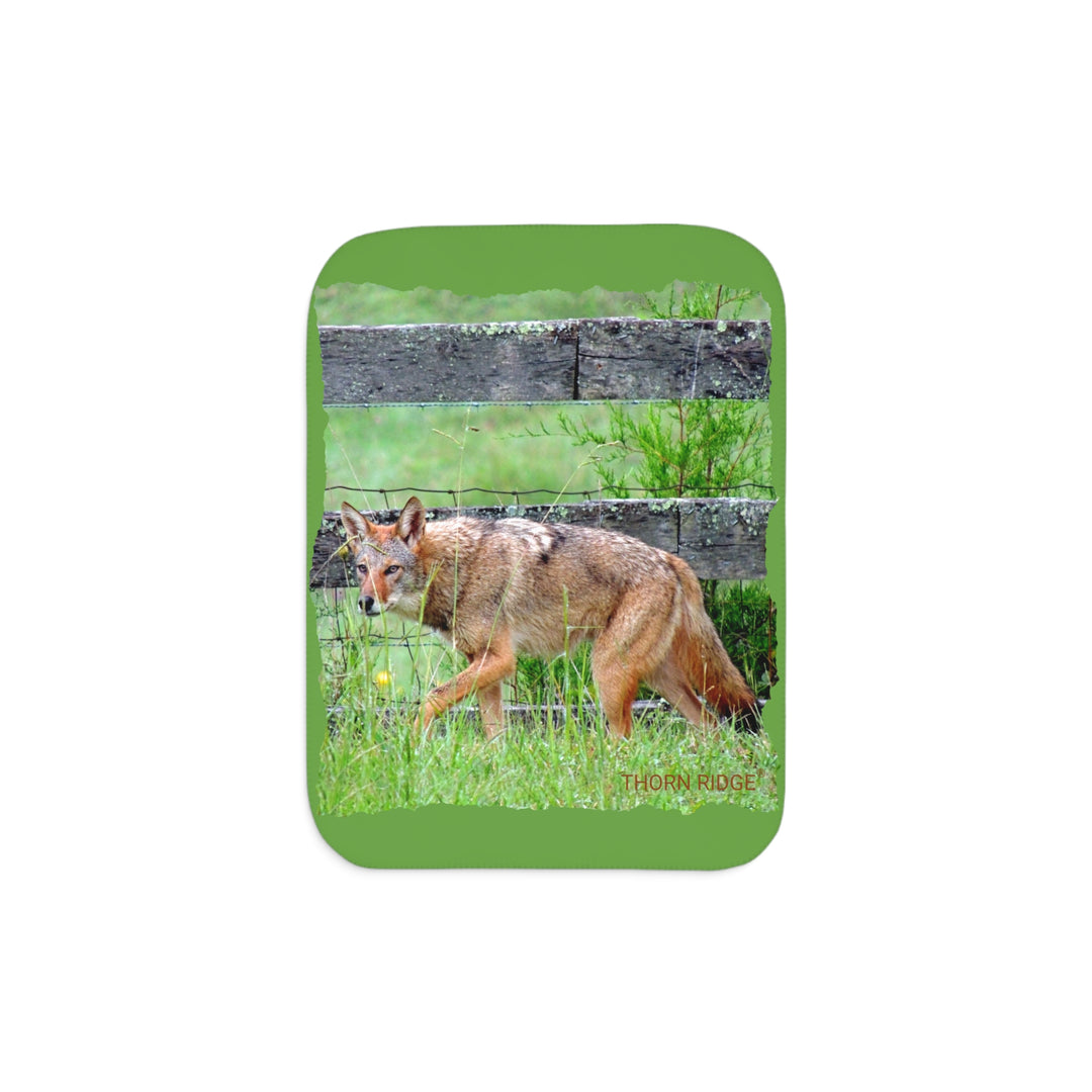 The Dayrunner, Tennessee coyote green sherpa blanket by Thorn Ridge®