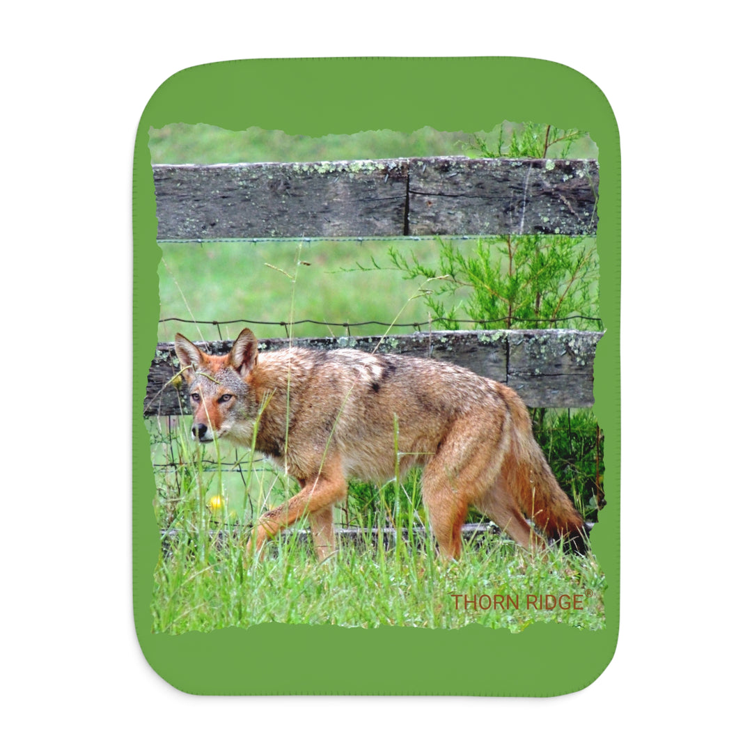 The Dayrunner, Tennessee coyote green sherpa blanket by Thorn Ridge®