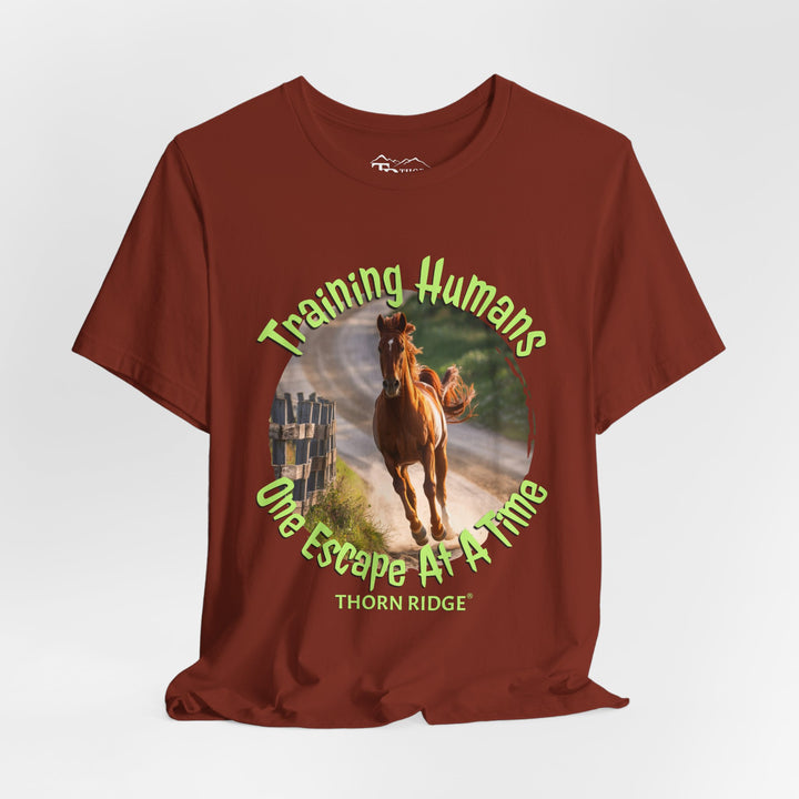 Training Humans Horse graphic tee by Thorn Ridge®