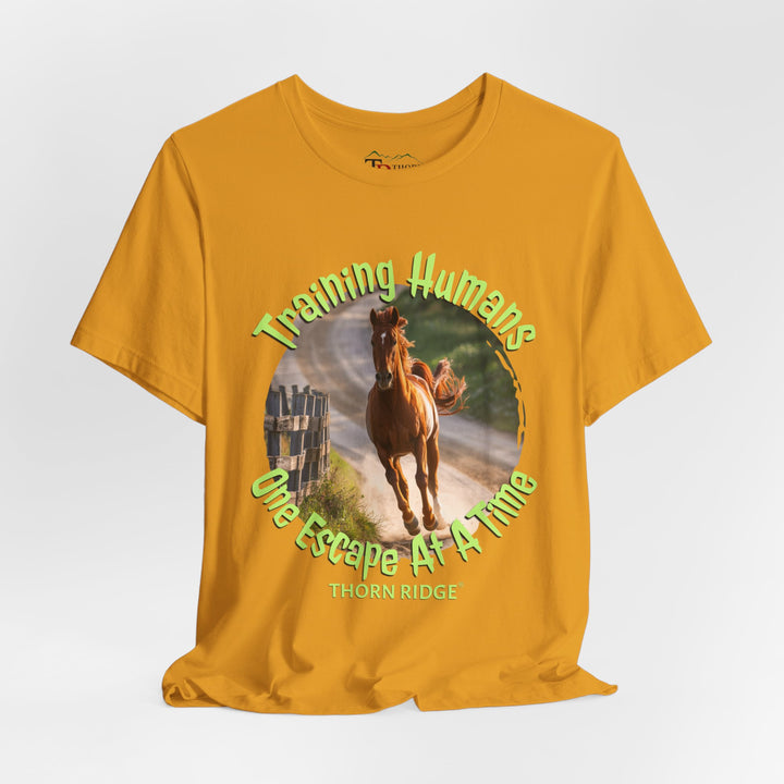 Training Humans Horse graphic tee by Thorn Ridge®
