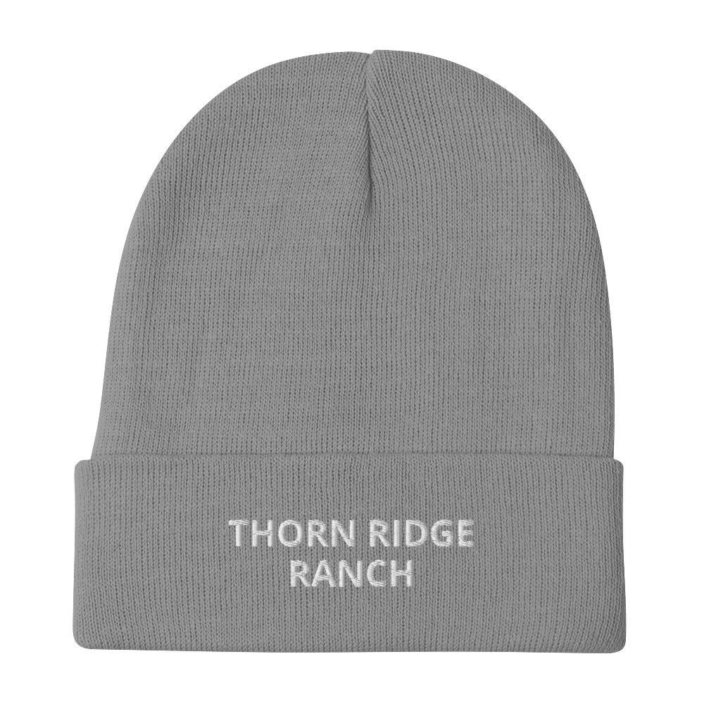 Embroidered Beanie Gray