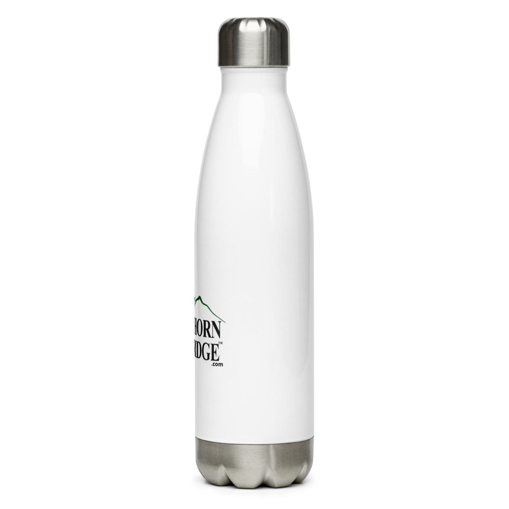 Stainless Steel Water Bottle