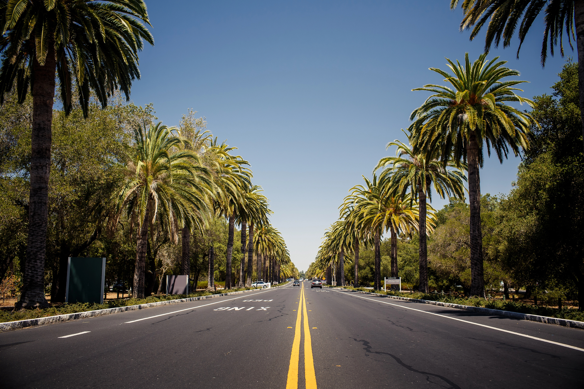 Florida backroad